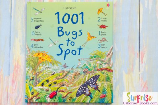 1001 Bugs to Spot - 1001 Bugs to Spot - Surprise Usborne Books & More