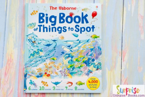 Big Book of Things to Spot - Big Book of Things to Spot - Surprise Us Books
