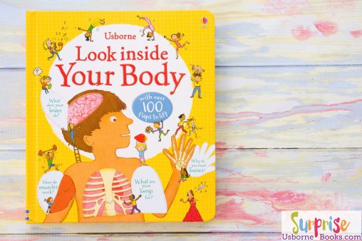 Look Inside Your Body - Look Inside Your Body - Surprise Us Books