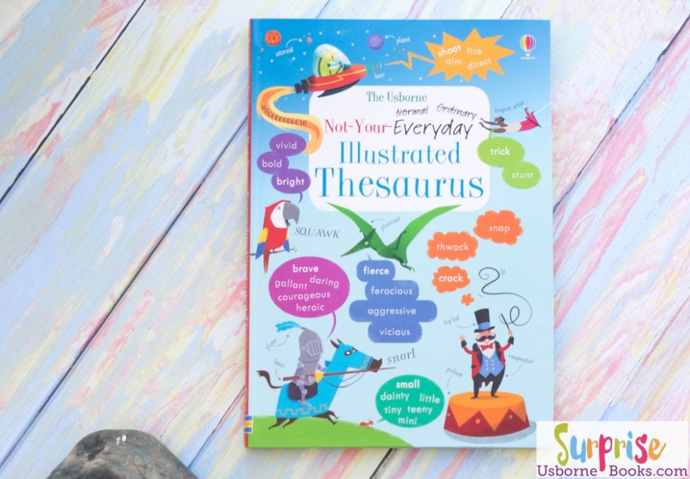 Not-Your-Everyday Illustrated Thesaurus - Not Your Everyday Illustrated Thesarus - Surprise Us Books