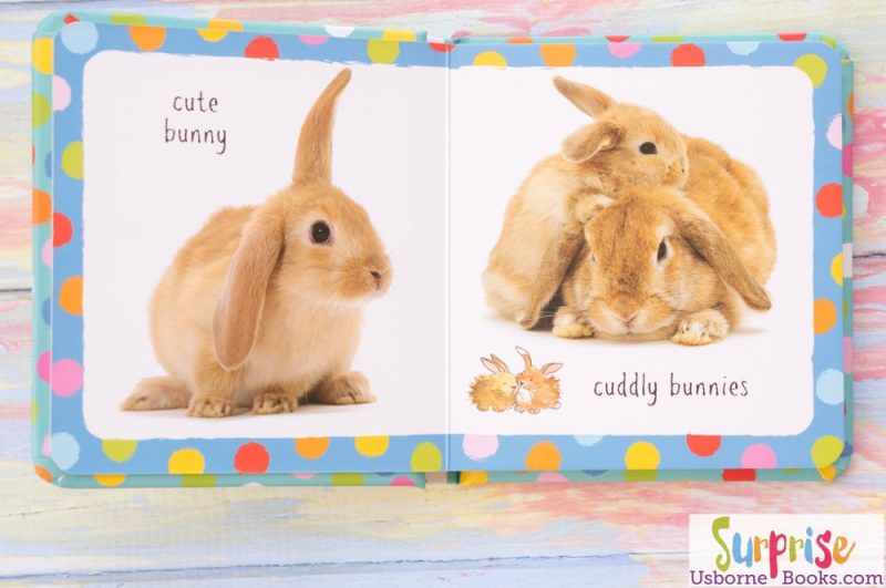 Little Book of Bunnies 1