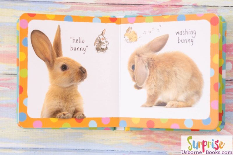 Little Book of Bunnies Usborne 2