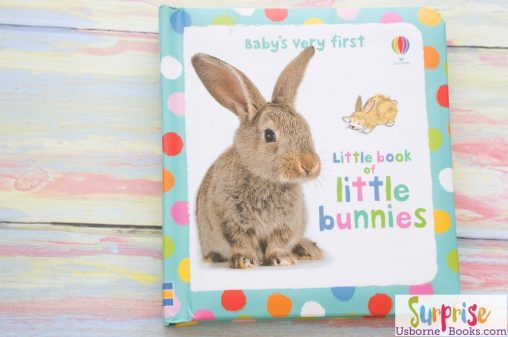 Baby's Very First Little Book of Little Bunnies - Little Book of Bunnies - Surprise Usborne Books & More