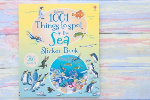 Usborne 1001 Things to Spot Sticker Book