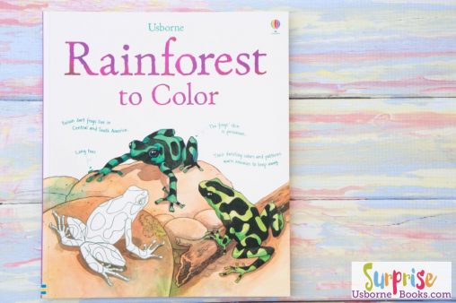Usborne Rainforest to Color